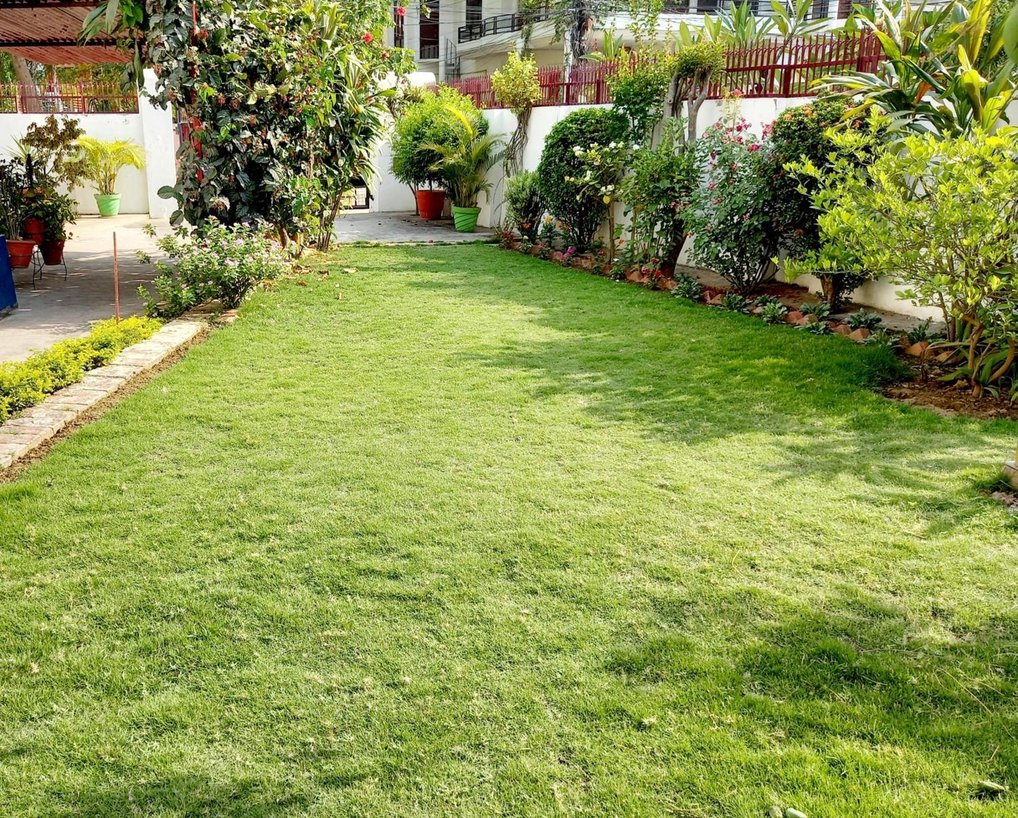 לינה וארוחת בוקר לקנאו Garden View Residency מראה חיצוני תמונה